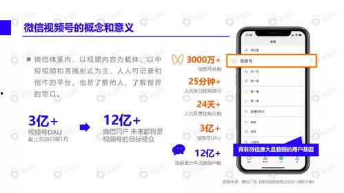 文玩大师爆料视频下载安装,下载安装全攻略  第3张